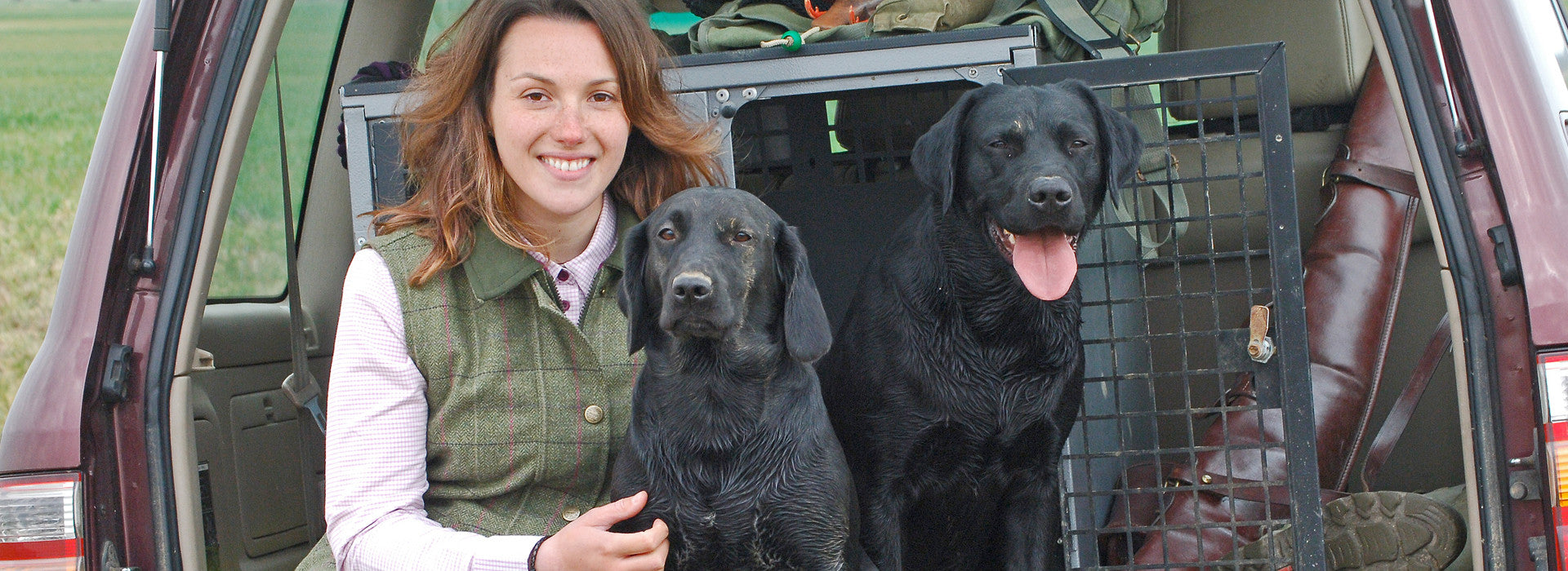 gun dog training